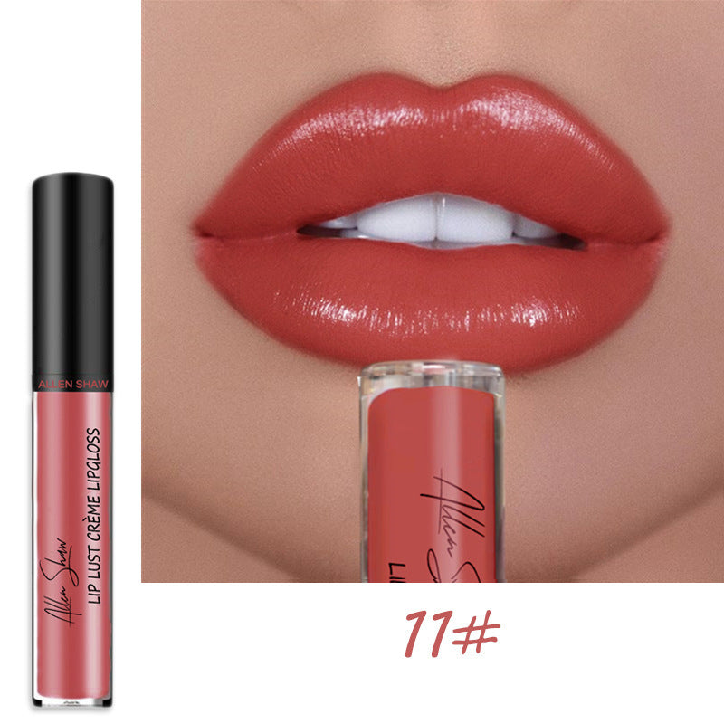 VF Premium Lip Gloss™ | Wasserdicht und hinterlässt keine Flecken! ~ Jetzt 3+1 GRATIS!