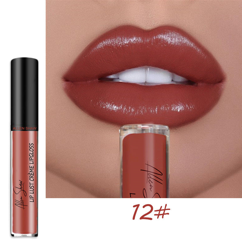 VF Premium Lip Gloss™ | Wasserdicht und hinterlässt keine Flecken! ~ Jetzt 3+1 GRATIS!