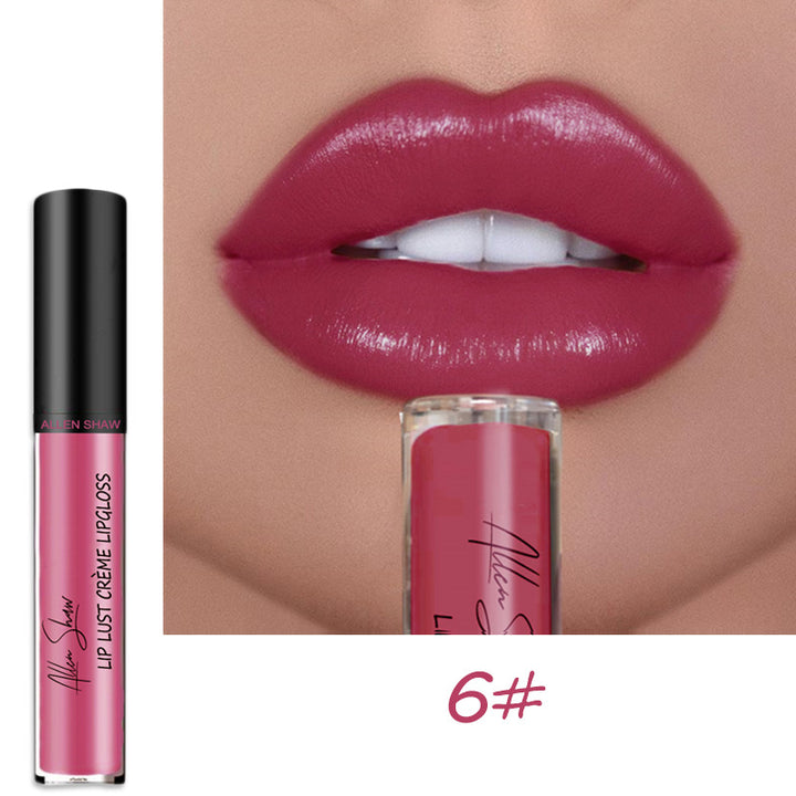 VF Premium Lip Gloss™ | Wasserdicht und hinterlässt keine Flecken! ~ Jetzt 3+1 GRATIS!