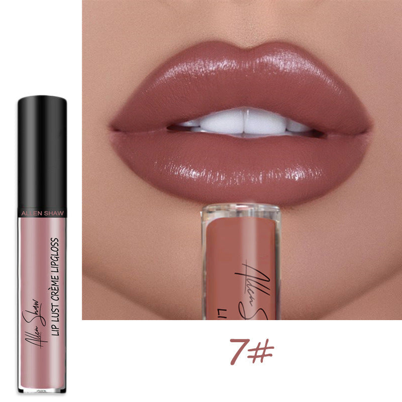 VF Premium Lip Gloss™ | Wasserdicht und hinterlässt keine Flecken! ~ Jetzt 3+1 GRATIS!