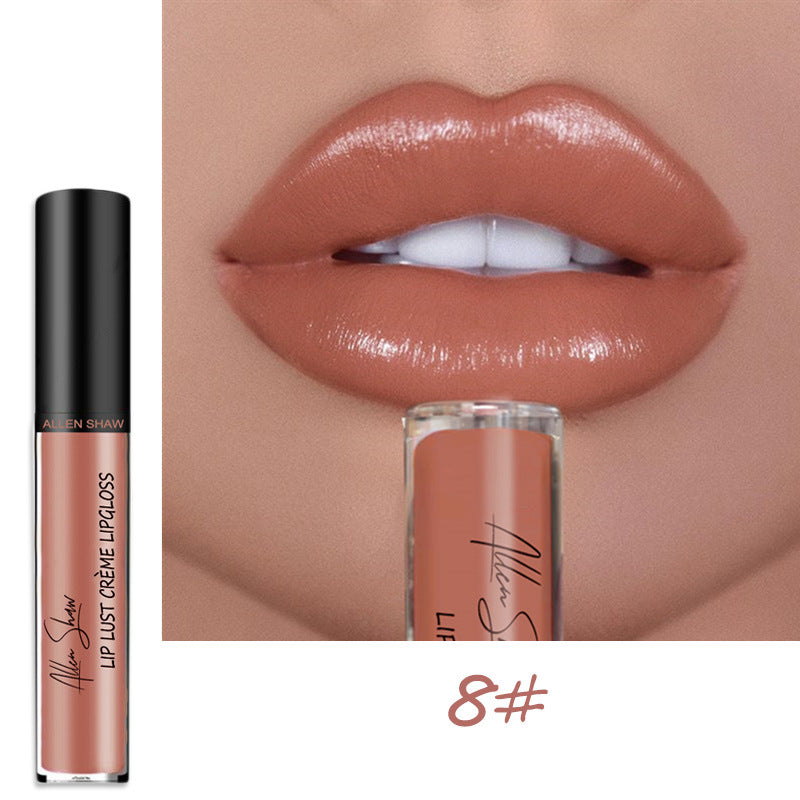 VF Premium Lip Gloss™ | Wasserdicht und hinterlässt keine Flecken! ~ Jetzt 3+1 GRATIS!