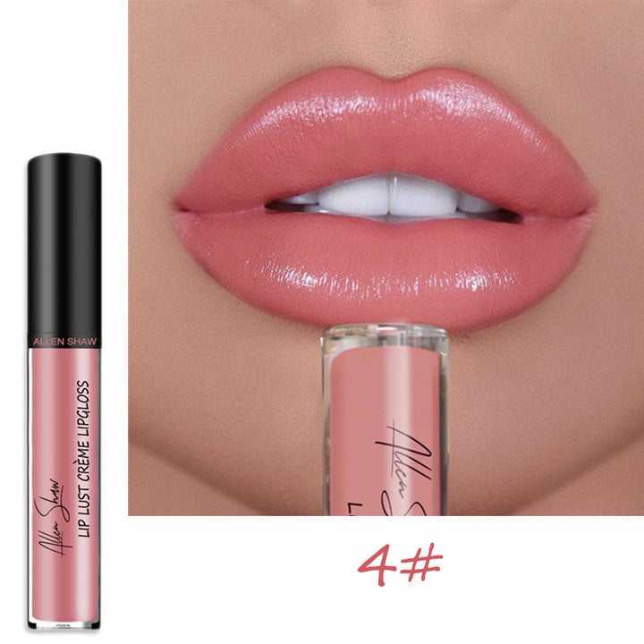 VF Premium Lip Gloss™ | Wasserdicht und hinterlässt keine Flecken! ~ Jetzt 3+1 GRATIS!