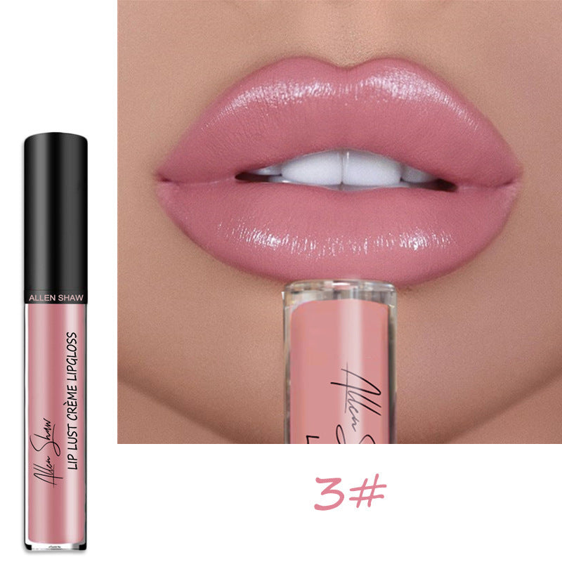 VF Premium Lip Gloss™ | Wasserdicht und hinterlässt keine Flecken! ~ Jetzt 3+1 GRATIS!